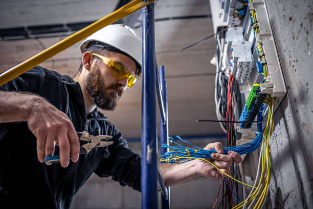 Best Electric Panel Repair  in Carpentersvle, IL