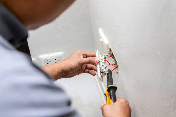 Best Electrical Repair Services  in Carpentersvle, IL